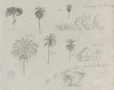 Sketches from the Rio Magdalena, Colombia: Botanical Sketches, A Church by Frederic Edwin Church